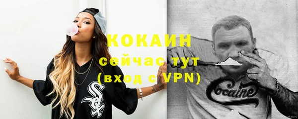 apvp Михайлов